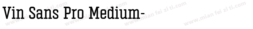 Vin Sans Pro Medium字体转换